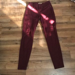 Maroon blue spice pant